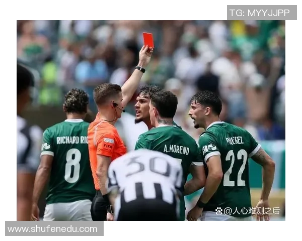 圣菲独立与巴西国际的精彩对决揭示南美足球的魅力与竞争激烈性