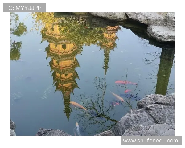 探索布莱克尼的魅力与历史发现这座城市中的隐藏宝藏与文化遗产