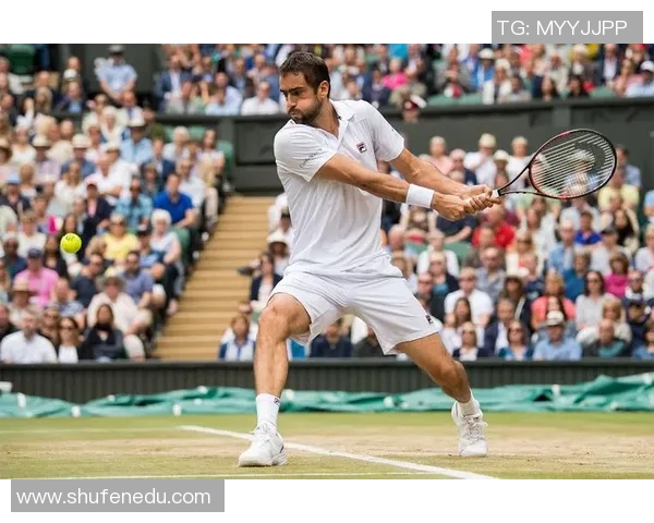 西里奇与费德勒巅峰对决谁将书写网球历史新篇章