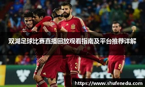 双湖足球比赛直播回放观看指南及平台推荐详解