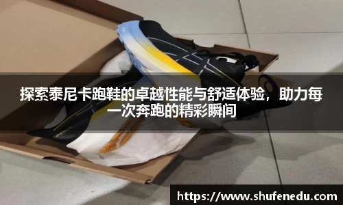 探索泰尼卡跑鞋的卓越性能与舒适体验，助力每一次奔跑的精彩瞬间