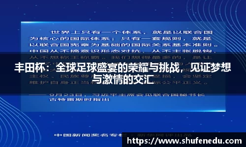 丰田杯：全球足球盛宴的荣耀与挑战，见证梦想与激情的交汇