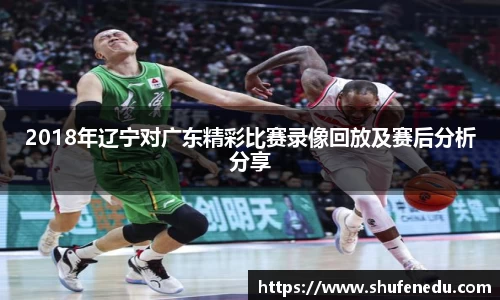 2018年辽宁对广东精彩比赛录像回放及赛后分析分享