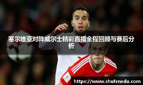 塞尔维亚对阵威尔士精彩直播全程回顾与赛后分析