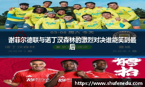 谢菲尔德联与诺丁汉森林的激烈对决谁能笑到最后
