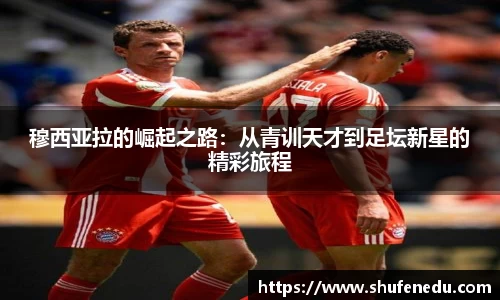 意昂体育手机最新版本